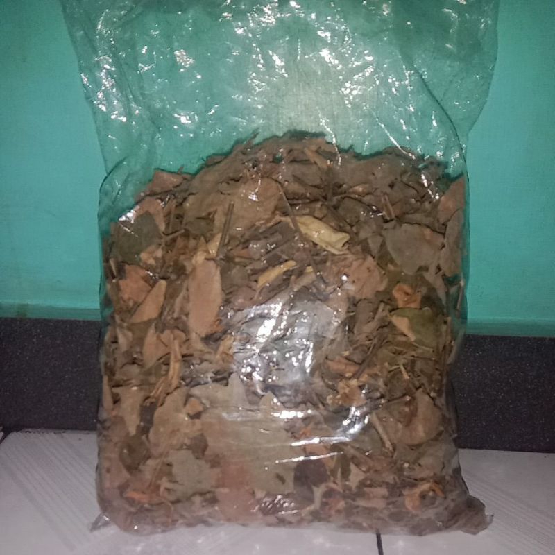 

benalu teh asli dari petani teh