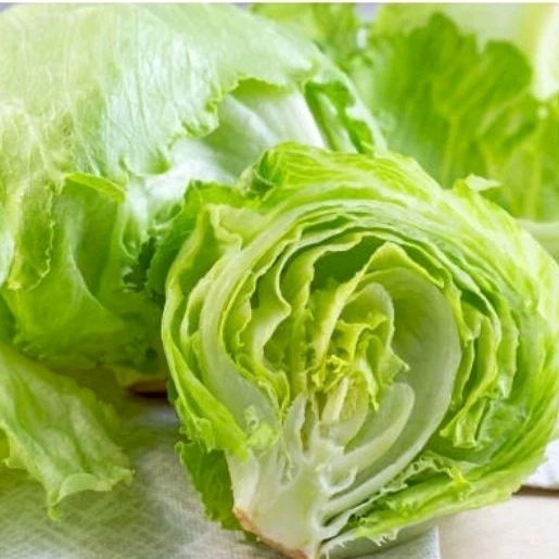 

LETTUCE 200 - 300 GRAM