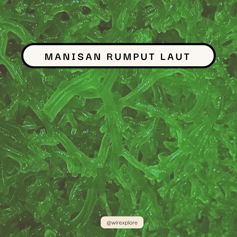 

manisan rumput laut