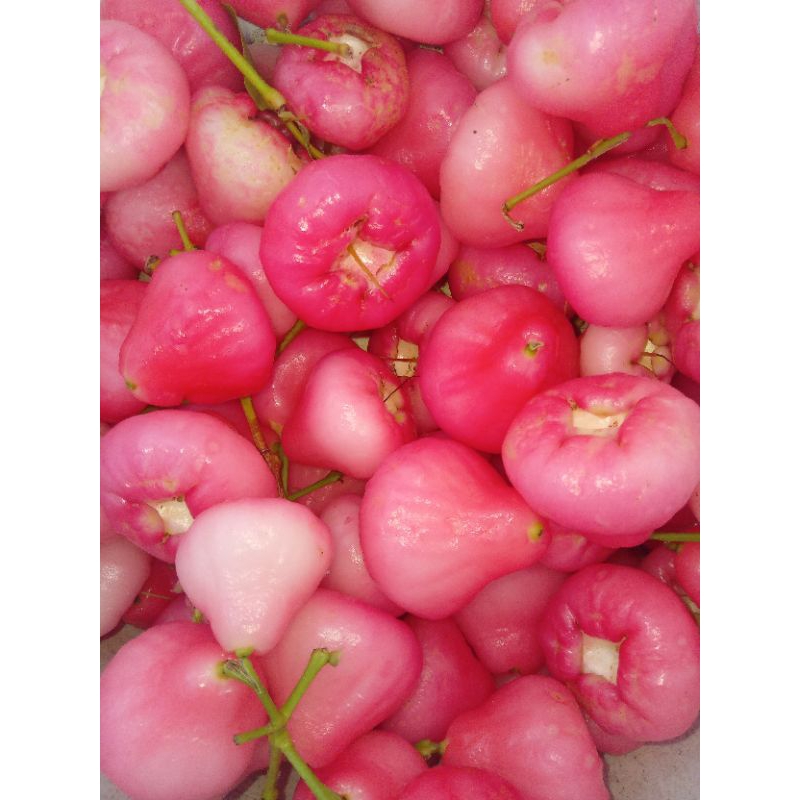 

Jambu Air