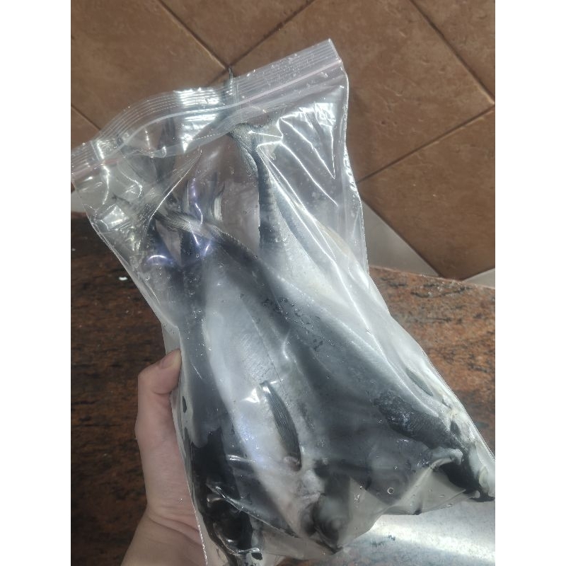 

Chang Fish Ikan Caru Beku Fresh