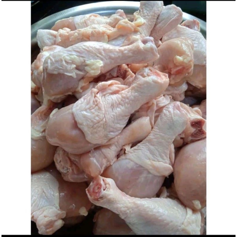 

paha pentung chiken drumstik paha bagian bawah