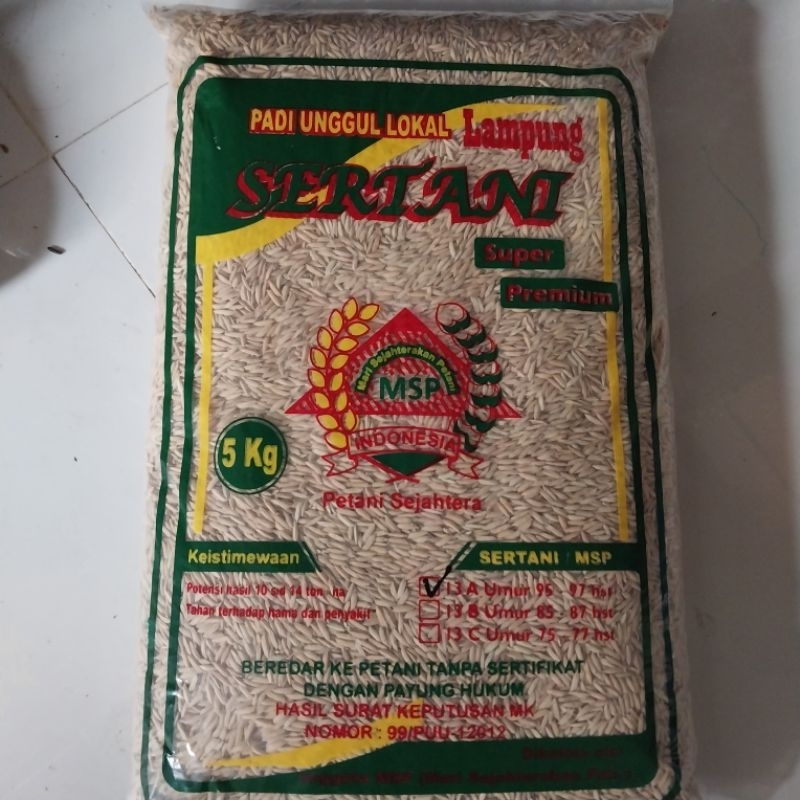 5 kg Benih Padi Sertani 13 A Asli bibit padi MSP 13 Asli