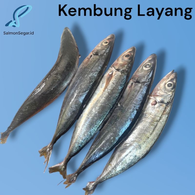 

Ikan Kembung Layang 1kg - Seafood Premium