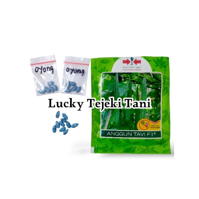 Benih Oyong/gambas Anggun Tavi Repack