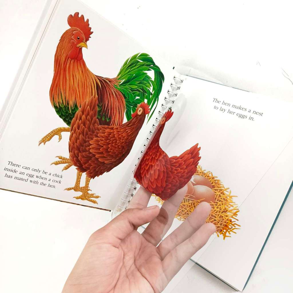 ORIGINAL My First Discoveries Moonlight Publishing - The Egg - Leon Books