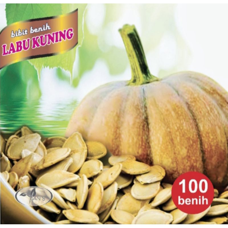biji bibit labu kuning/bibit labu kuning/labu kuning jumbo. 100 bibit.
