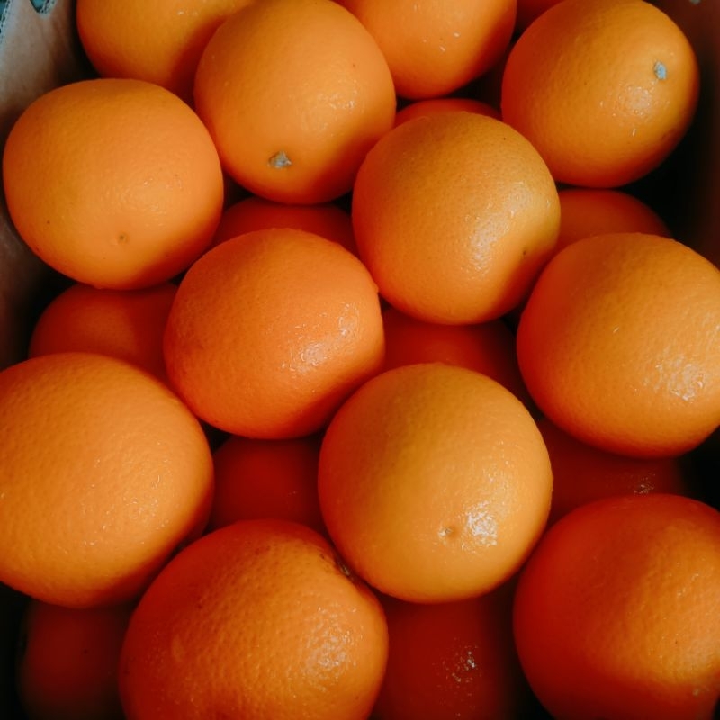 

SUNKIST NAVEL