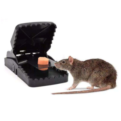 Perangkap Tikus Jebakan Tikus Alat Jepit Perangkap Tikus