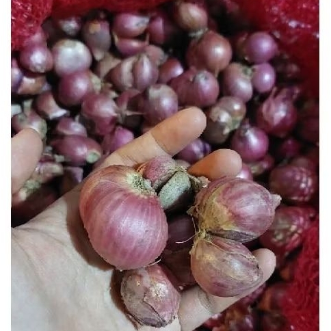 

BAWANG MERAH BESAR 1 KG