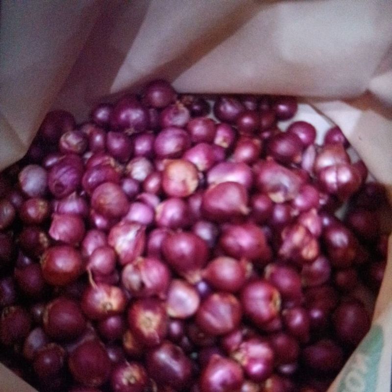 

BAWANG MERAH SUPER 500 gr