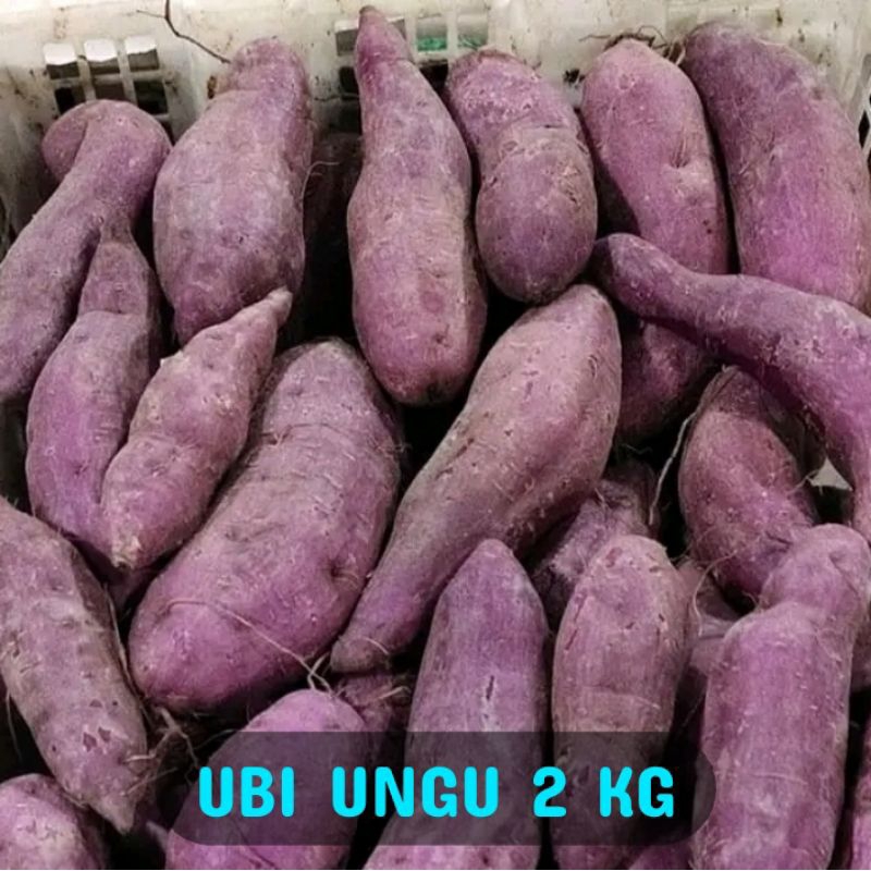 

ubi ungu 1 kg fresh kualitas super unggul