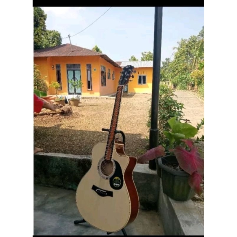 Gitar akustik cort custom