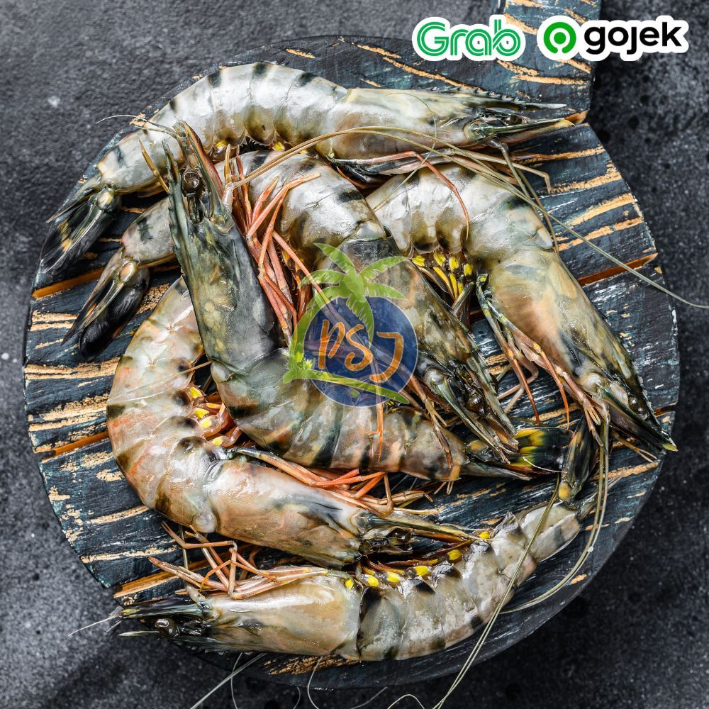 

Udang Pancet TERLARIS 1kg Size 30/udang pancet/udang windu/Udang Segar