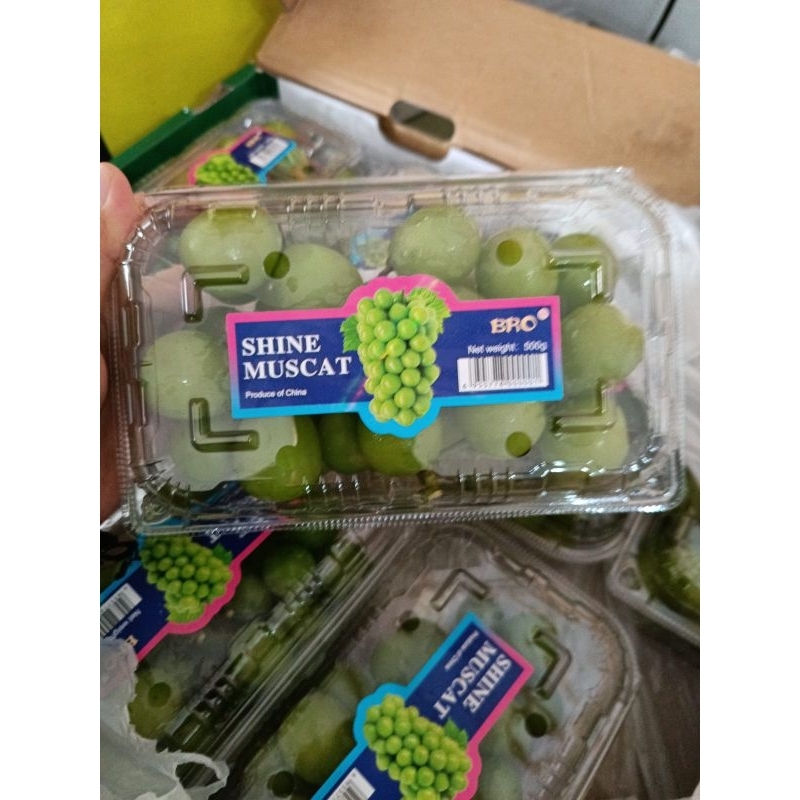 

buah anggur shine muscat hijau viral kemasan pack