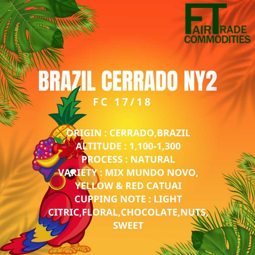 

BRAZIL ARABICA NY2 17/18 FC CERRADO || GREEN BEANS || BIJI KOPI MENTAH