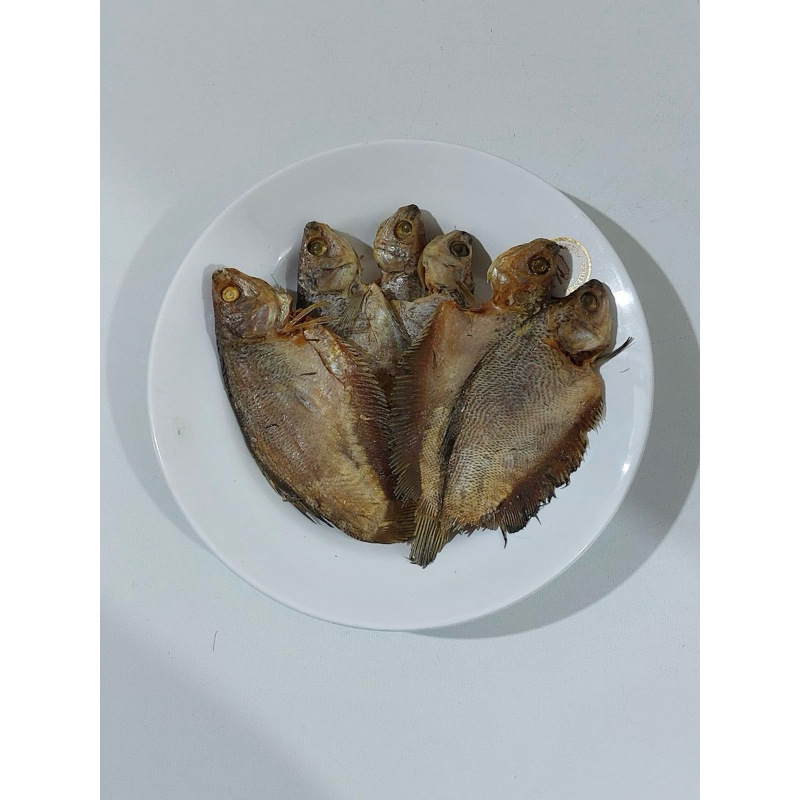 

Ikan Sepat Super Kering tersedia 250g, 500g,1kg