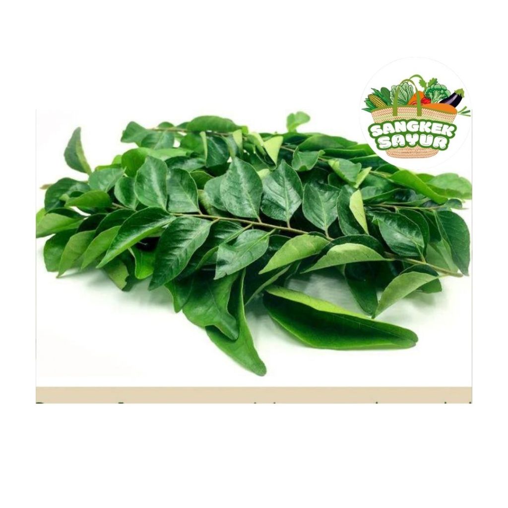 

Daun Salam per Bungkus - sangkek.sayur PALEMBANG