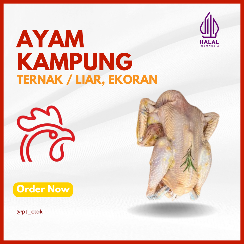 

Ayam Kampung Ternak / Liar (FRESH & FROZEN)