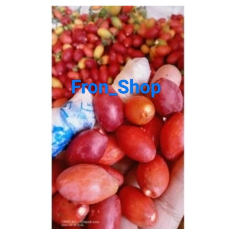 

Buah Melinjo Segar Melinjo Mateng 1Kg Fresh