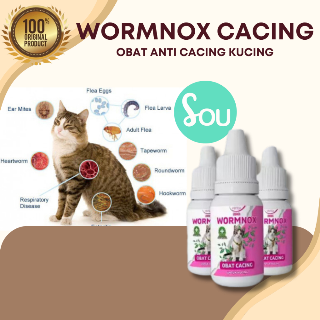 Obat Kucing Anti Cacing Wormnox Venox Obat Kucing Anti Cacing Ampuh Pembasmi Cacing Kitten Dewasa Ca