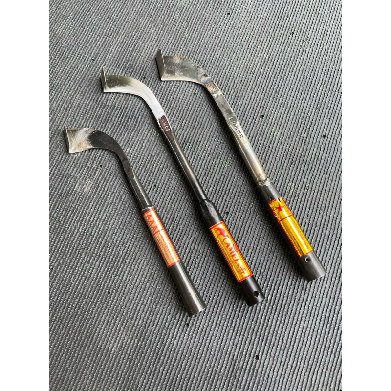 SADAP KARET BIDORE DAN CAMEL