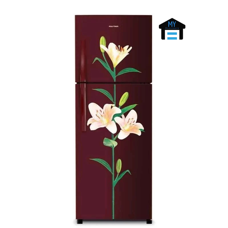 KULKAS POLYTRON 2 PINTU (PRB 217)