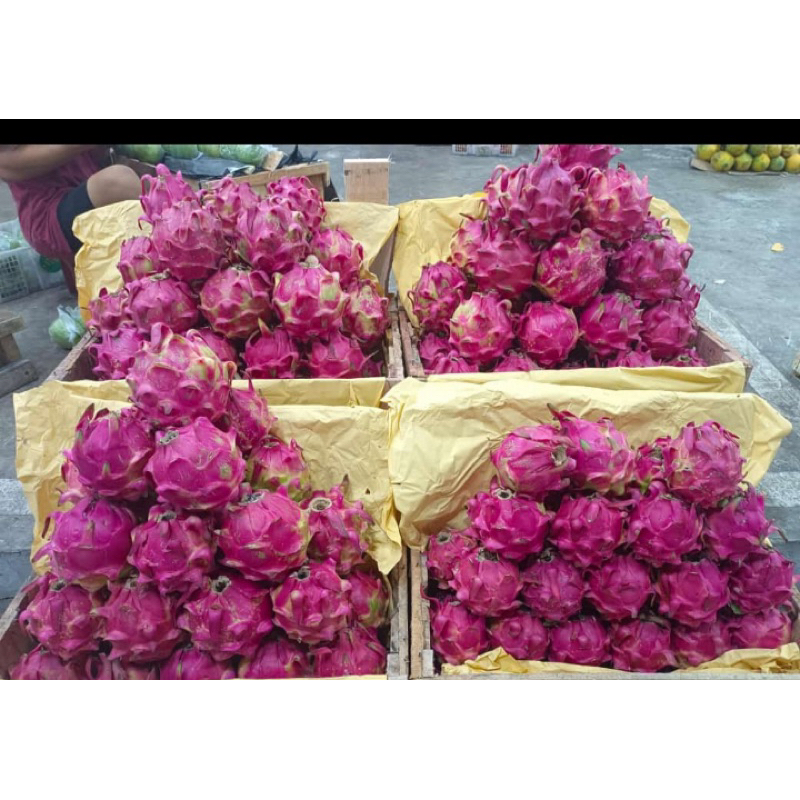 

BUAH NAGA MERAH GRADE A/ BUAH NAGA MERAH DAGING TEBAL berat 1000 - 1050gram