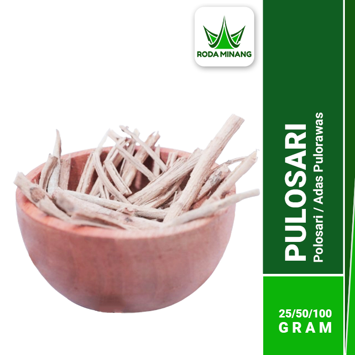 

Kayu Pulosari Kering Adas Pulowaras Batang Pulasari Polosari 100 Gram