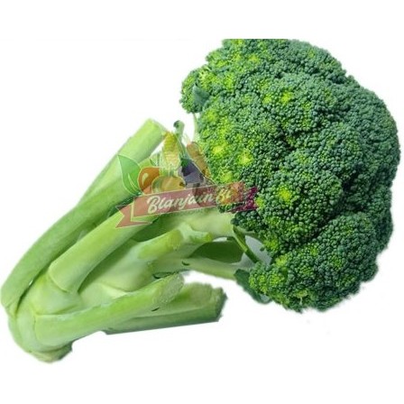 

Brokoli Segar 500 gram