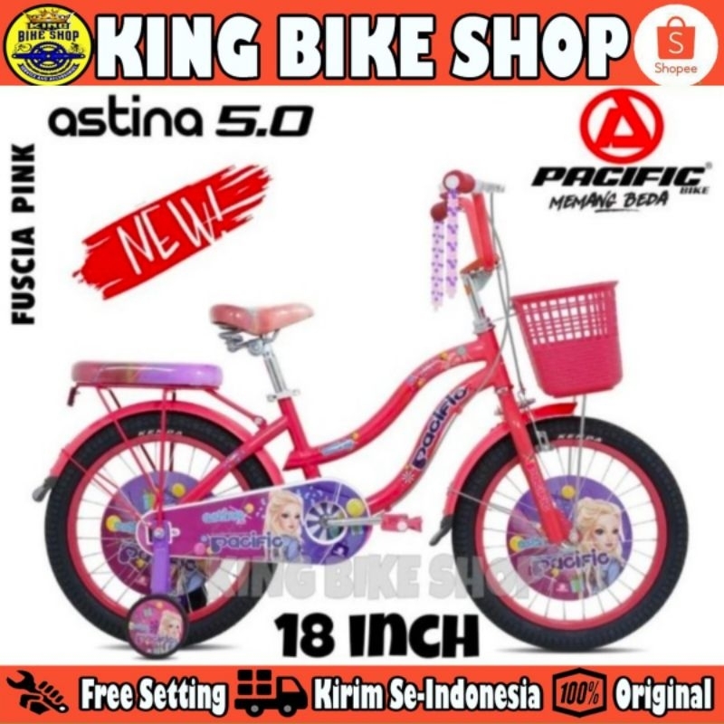 Sepeda Anak Perempuan PACIFIC ASTINA 5.0 Uk 18 Inch Keranjang