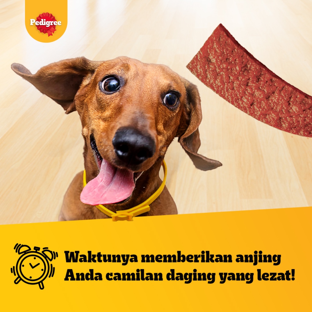 

Nycyta Home Dog Snack Pedigree Schmackos Meat Jerky Strap & Stix 70Gr Treats/Camilan/Cemilan Anjing