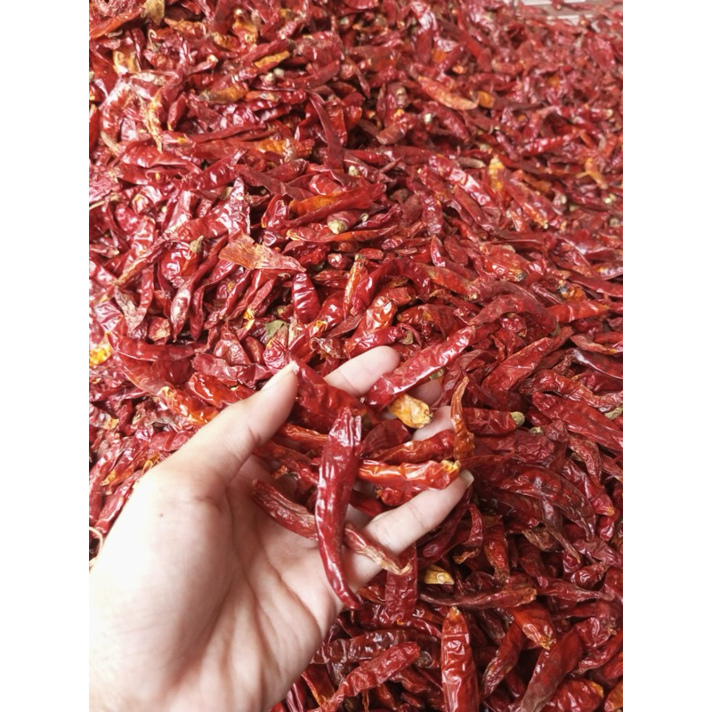 

CABE MERAH RAWIT TEJA 1KG murah import kualitas terbaik pedas tanpa tangkai/cabe kering/cabe kering pedas