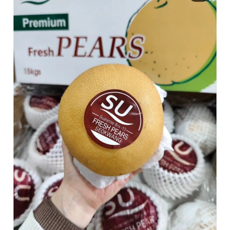 

Pear Singo Korea Premium Seokwang