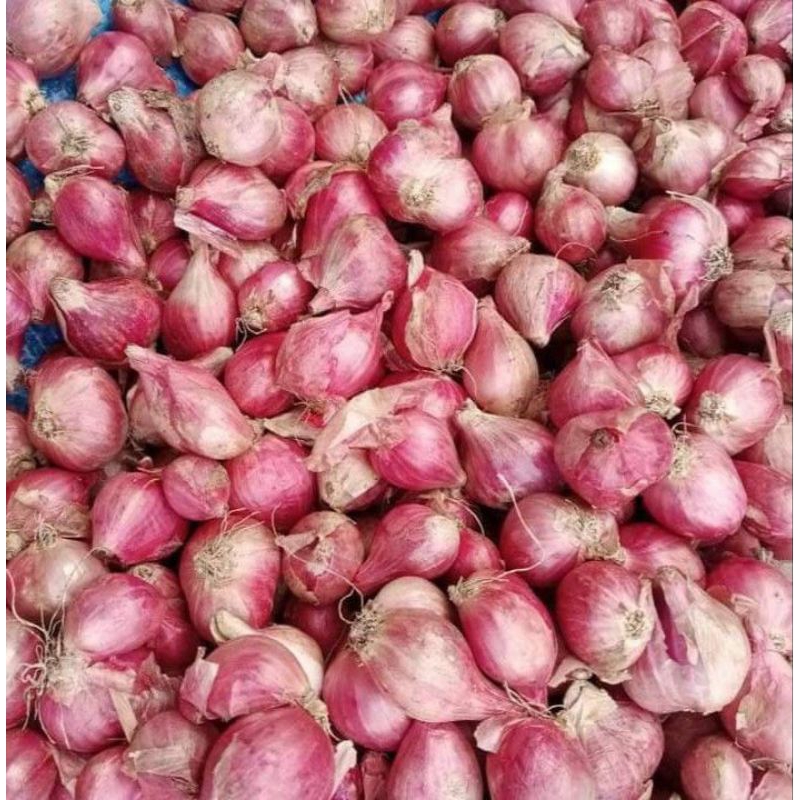 

Bawang Merah Campur besar kecil 500 gr