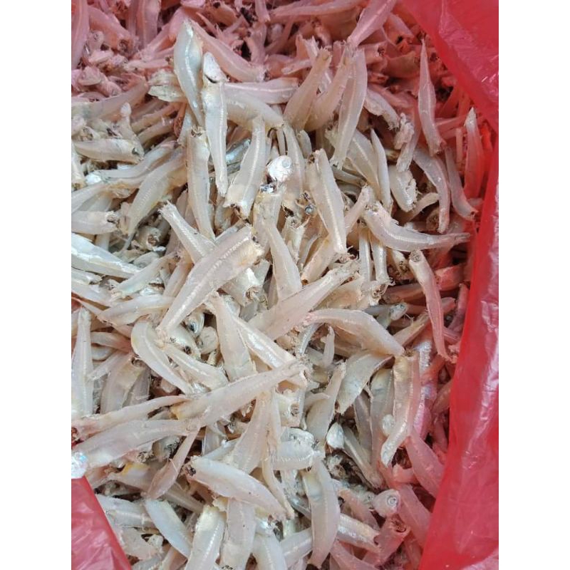 

TERI GOLDEN//TERI DAGING UTUH//250 gr