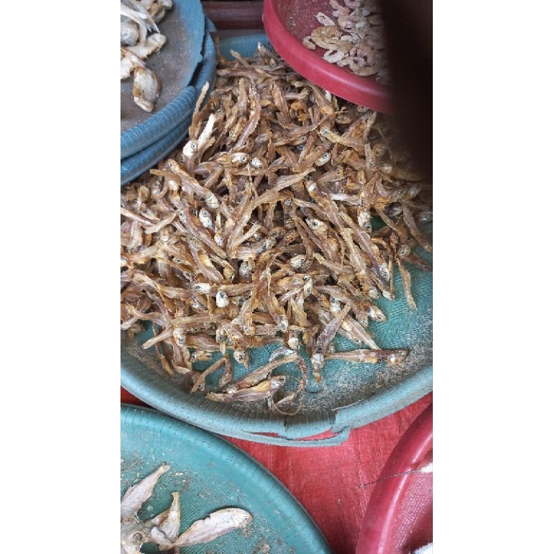 

Ikan Teri Bengkulu 1 kg