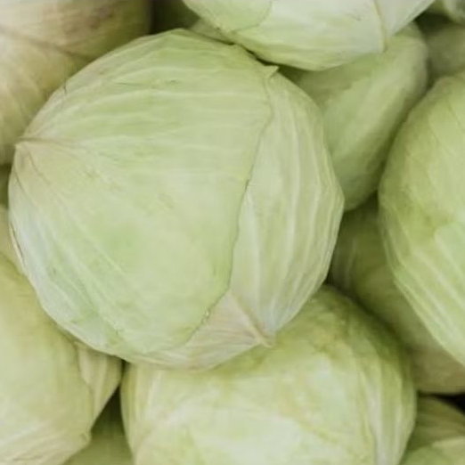 

Kol perbuah 1 kg - 1,5 kg