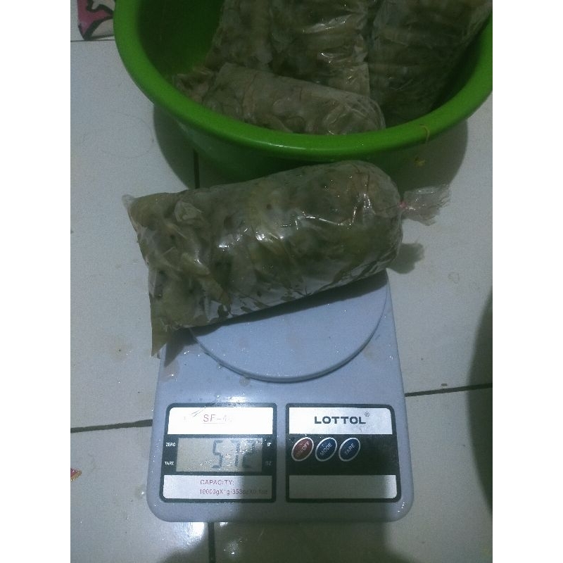 

UDANG VANNAMEI 500 GRAM ASLI TAMBAK