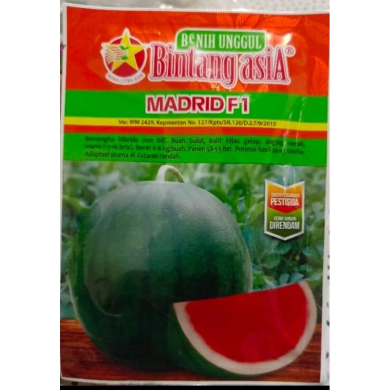 Benih Bibit Semangka MADRID F1 Non Biji Isi 20 grm