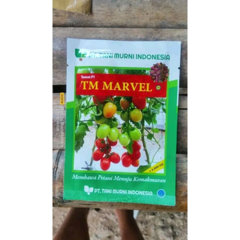 Benih Bibit Tomat TM MARVEL F1 ISI 3.000 Biji