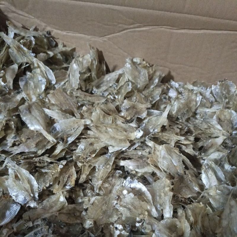 

ikan asin pakang tawar,pakang tipis,ikan asin krupuk