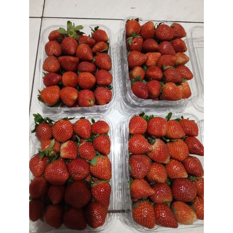 

Buah Strawberry Fresh Dijamin Segar | Khusus Instan & Sameday