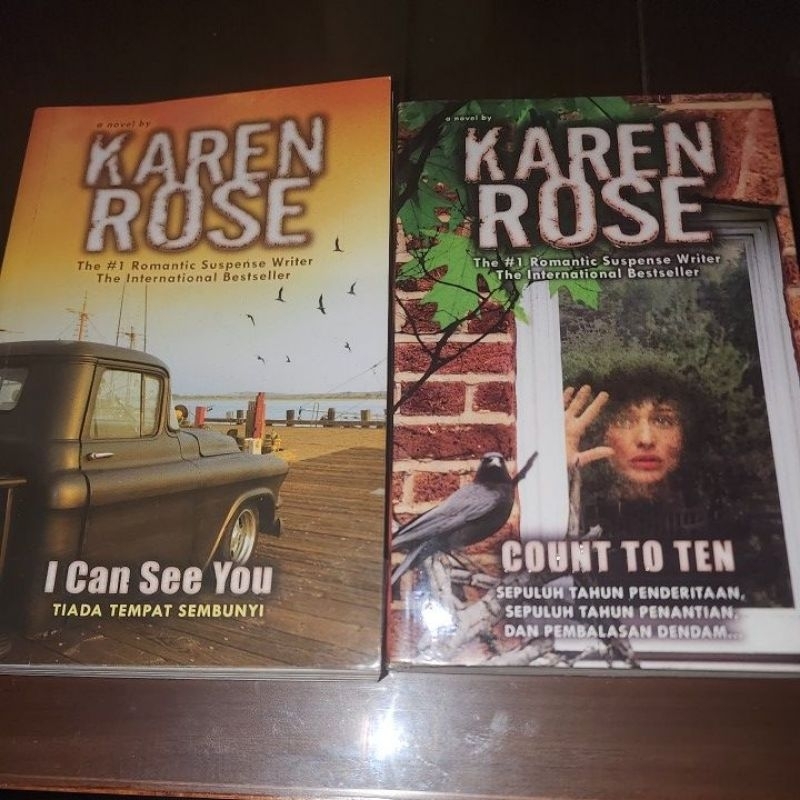 Novel Karen Rose KOLPRI