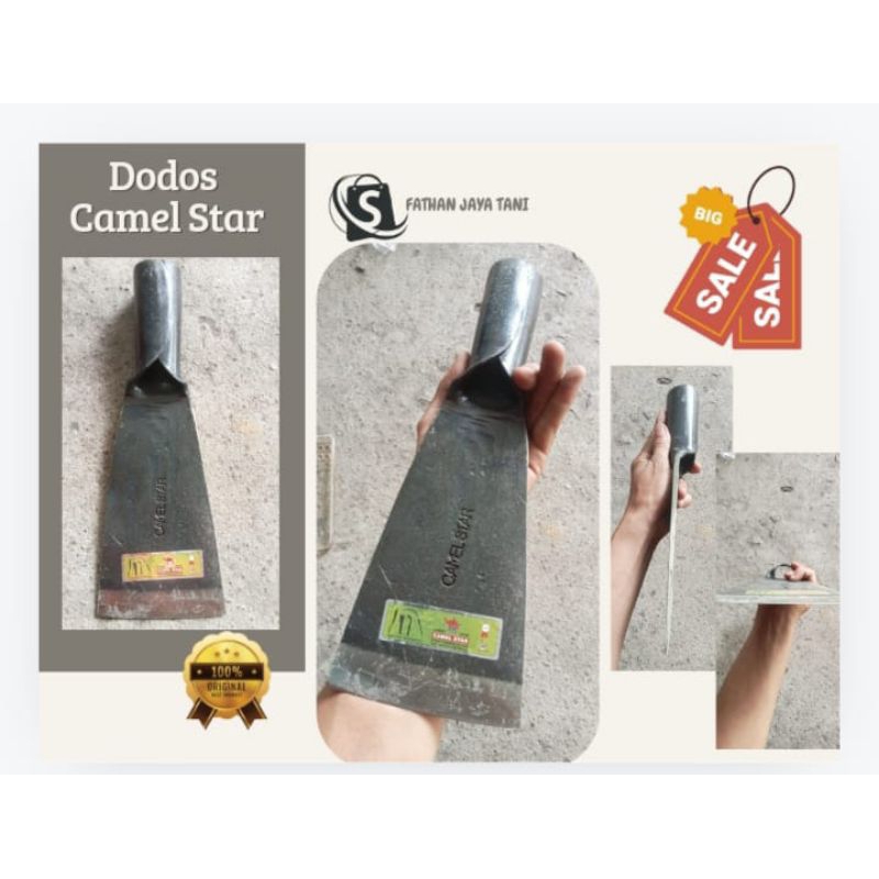 dodos sawit camel star 100% ori malaysia