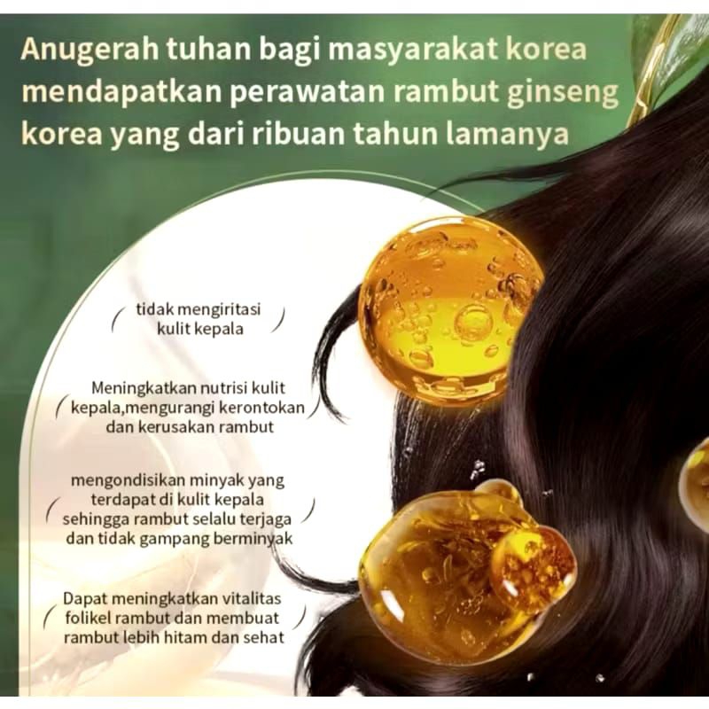 [ORI] EBELIN ANTI HAIR FALL SHAMPO+SERUM GINSENG KOREA