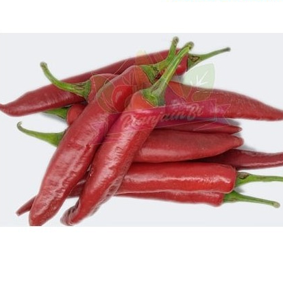 

Cabe Merah Tanjung 100 gram