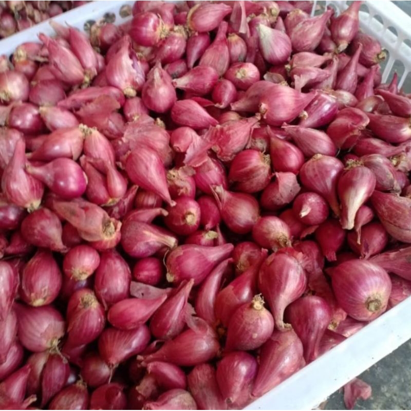 

BAWANG MERAH CAMPURAN BESAR KECIL 1KG PRODUK LOKAL