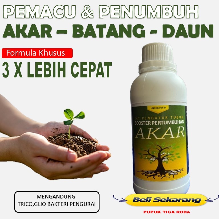 Pupuk Akar Tanaman / Perangsang Akar Singkong Anggrek Bonsai / Penumbuh akar tanaman stek cangkok
