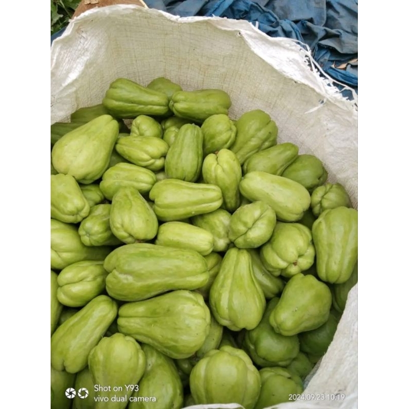

sayuran labu Siam muda mantap untuk di masak 1kg